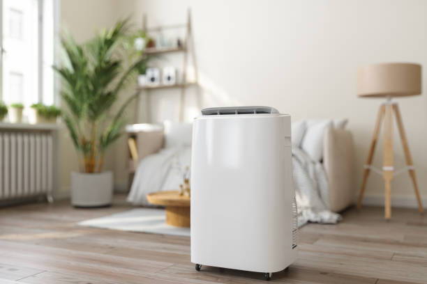 Best Ductless Mini-Split Systems in Lakeview, WA